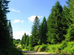 Национальный парк «Сколевские Бескиды»