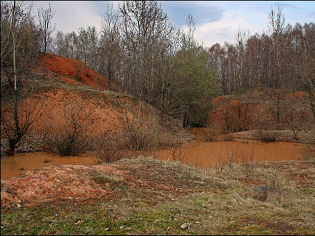 Осень в заказнике