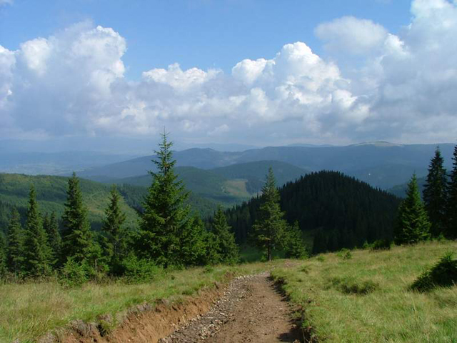 Удивительные окрестности Поляны