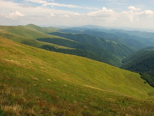 Зеленый бархат Боржавы