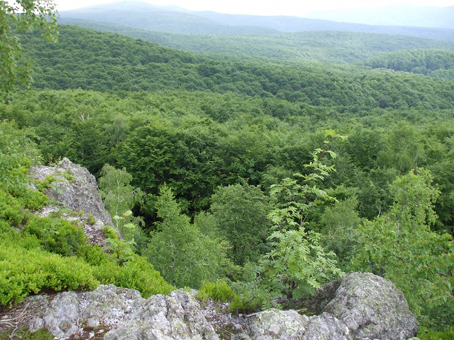 Зачарованная долина